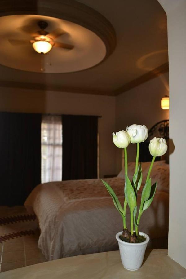 Agua Prieta Maria Bonita Suites المظهر الخارجي الصورة